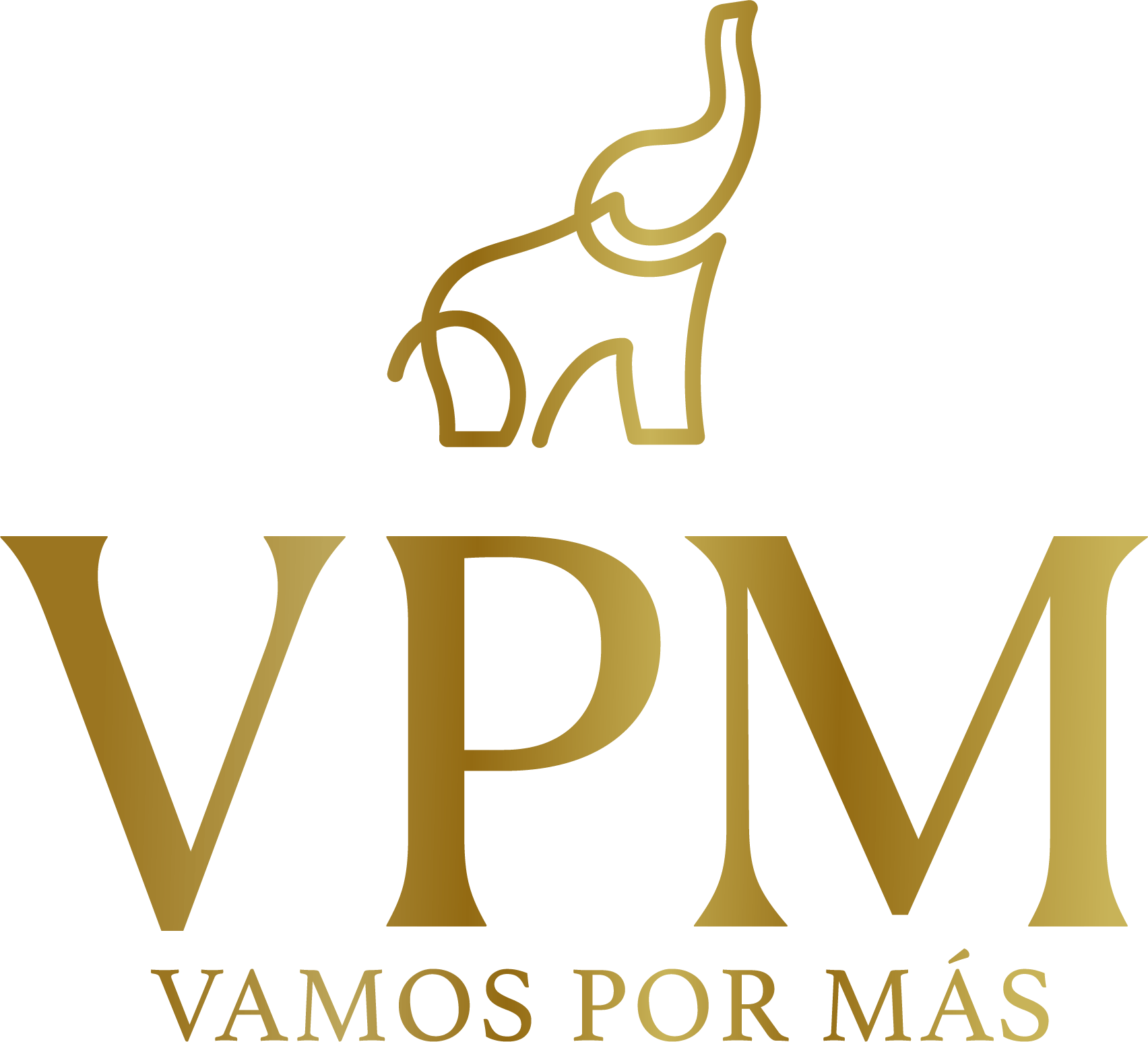 LOGO VPM