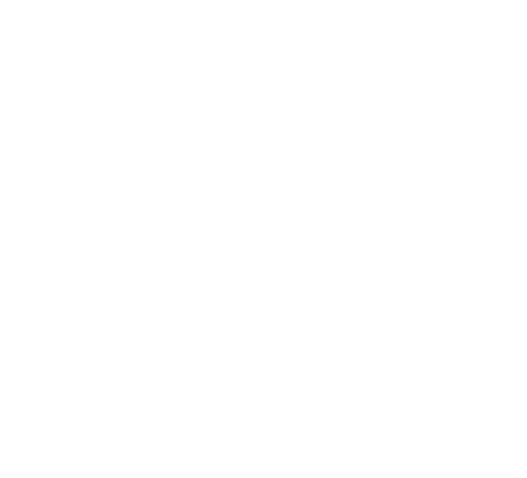 vpm blanco Asset 33